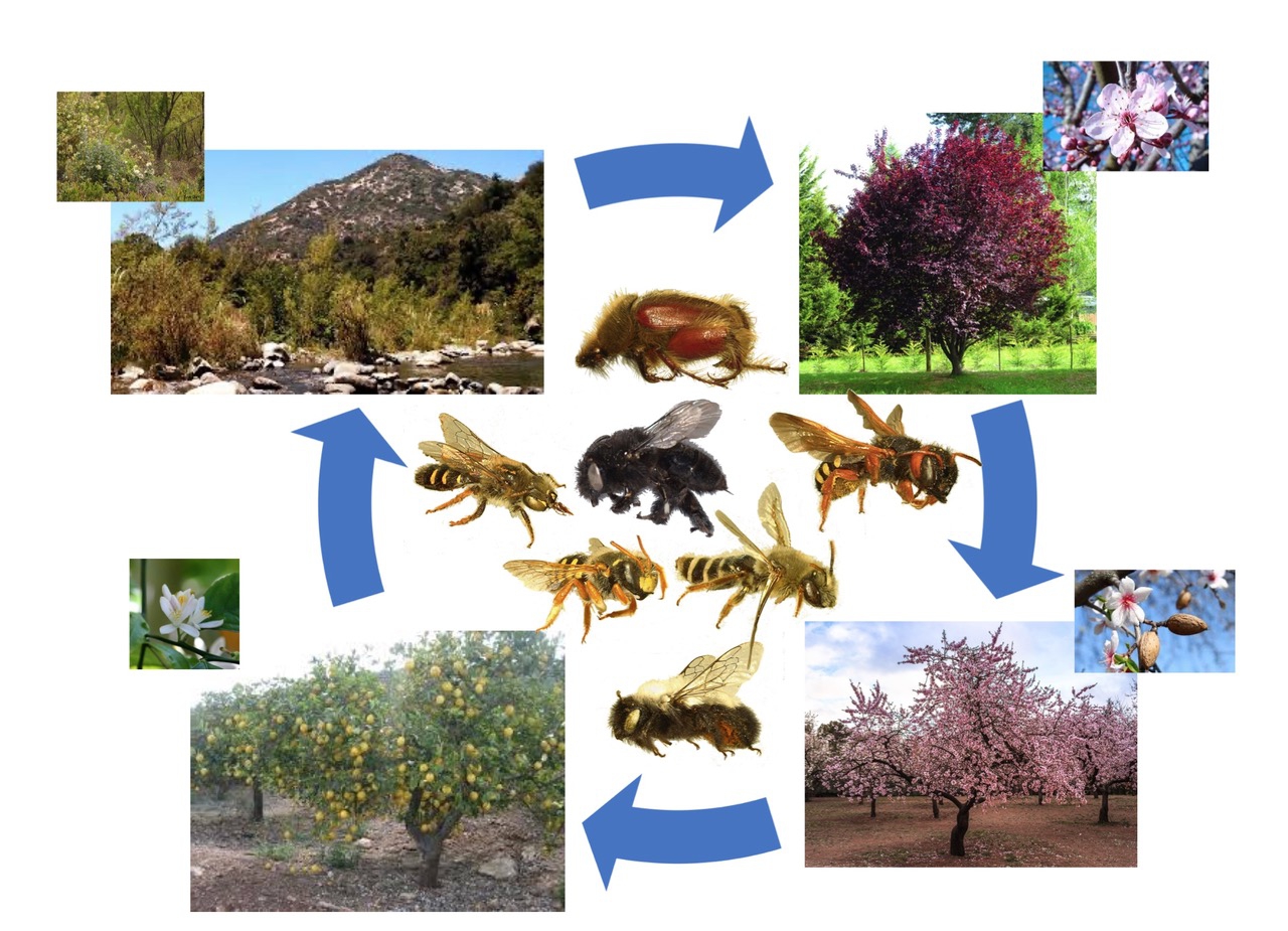 181f88054488236c2679da41b7cf6faf 0a9