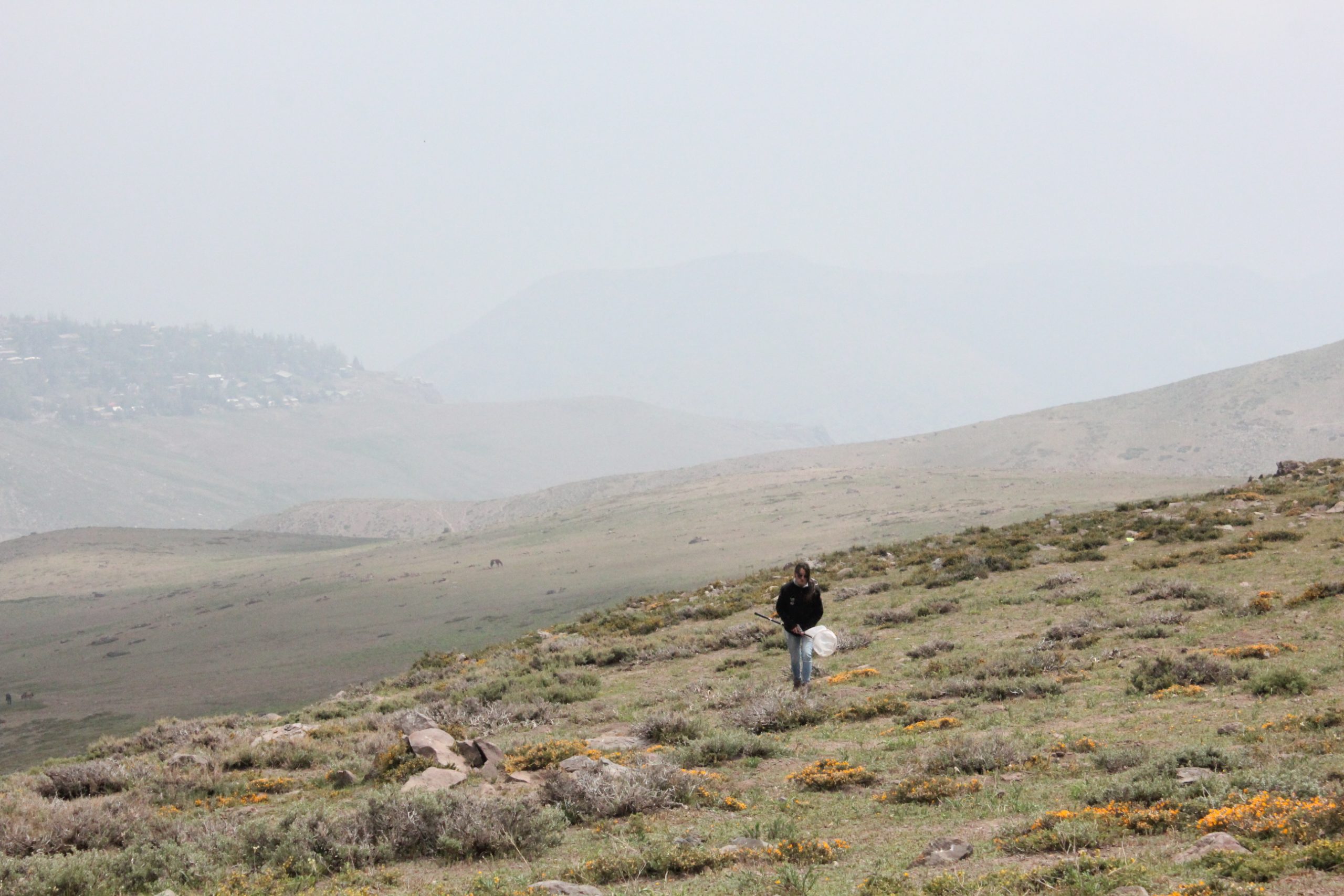 UMCE &mdash; IMG 5429 74b scaled