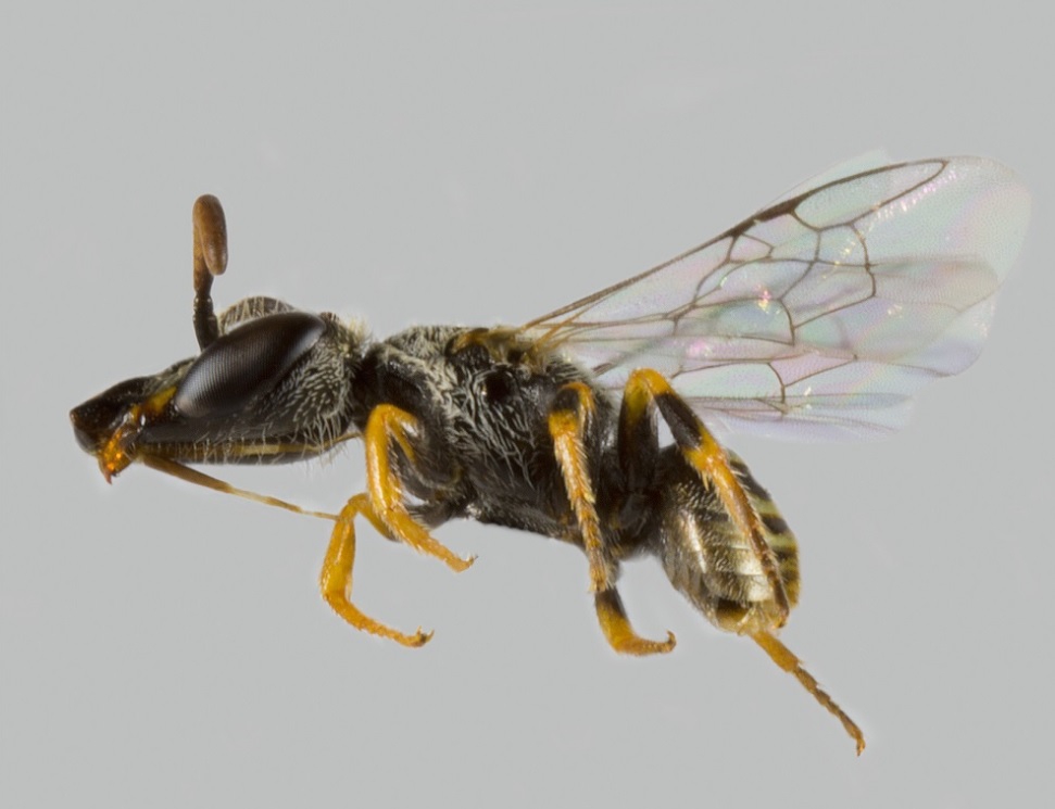 cd57e341984c5ea5152726b8f2e89570 025