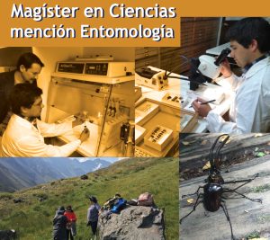 202847f166f4127bb1a6a383ea297fcf 6db