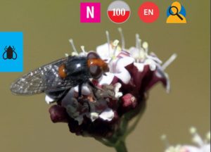 443d8124a98eeb875f9c56a79c8264f8 74e