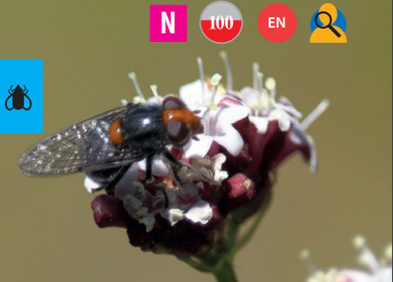 443d8124a98eeb875f9c56a79c8264f8 74e