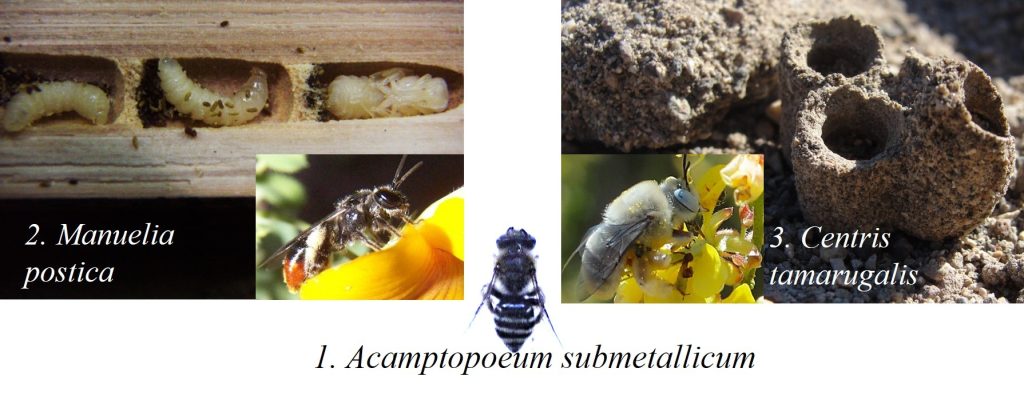 a6cc10b270d60e07120c524bef4e58db f13