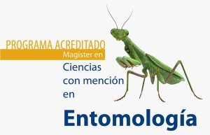 a89deac053396e24d6cf47cd0576ab59 a61