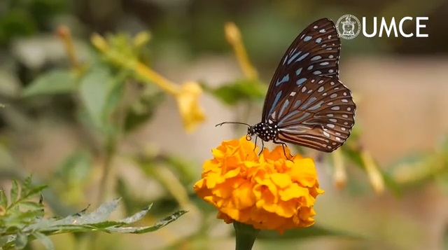 9937ea9e070d9c10c153c6da4faf4090 6e2