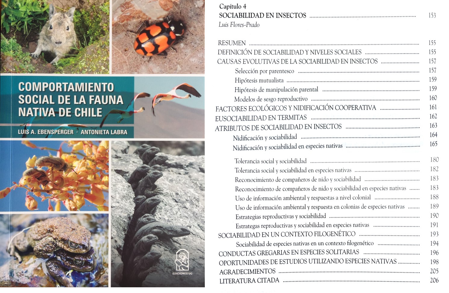 d0b71748ba0e5700e8c7884ccddba483 cfc