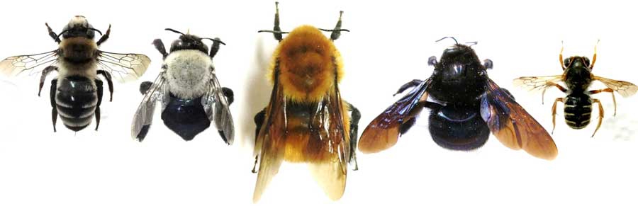 e3547aa5163be1cf0308beec1632f77e 0ad