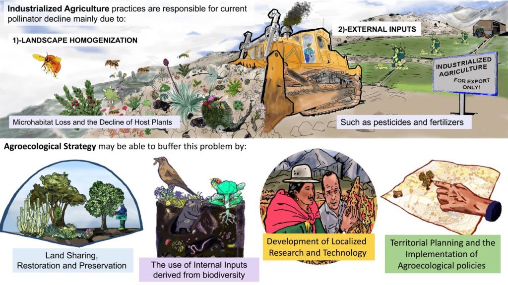 79fb78d76f4028fb13a8ce228606e3c7 0ff