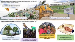 79fb78d76f4028fb13a8ce228606e3c7 0ff