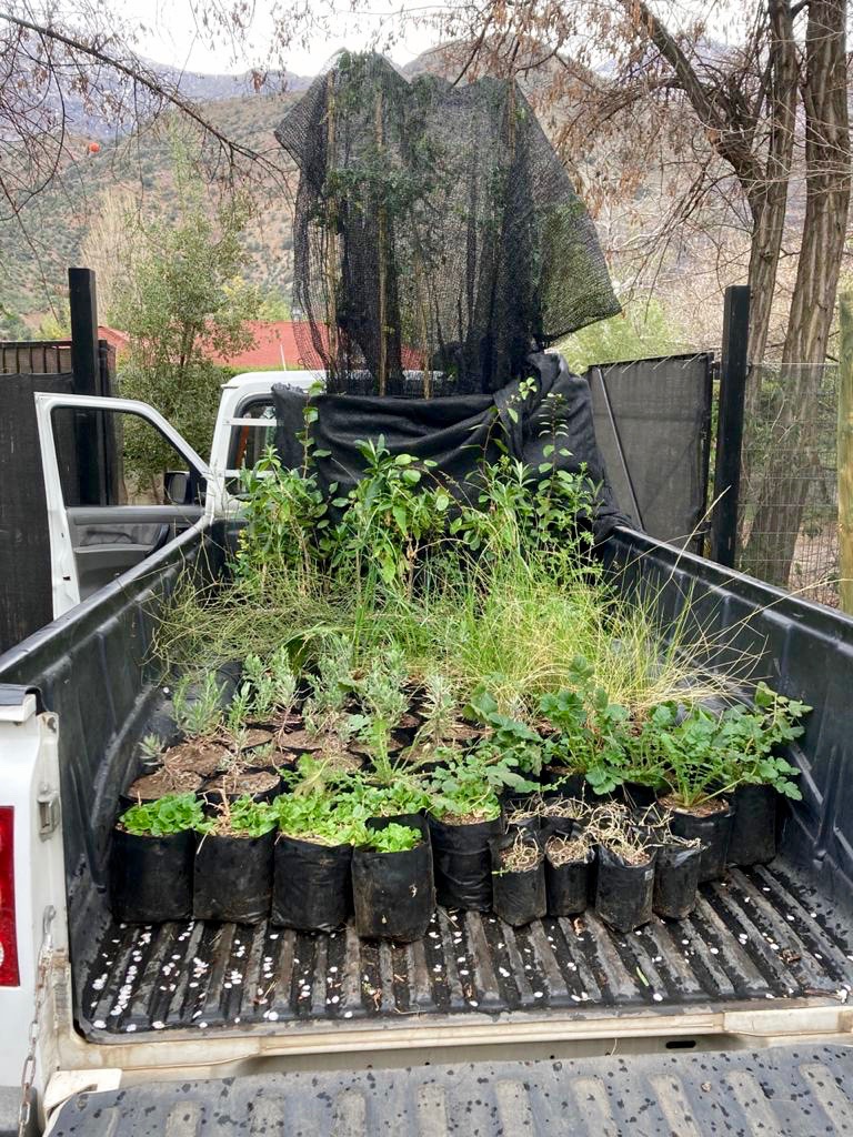 UMCE &mdash; WHXK0834 706