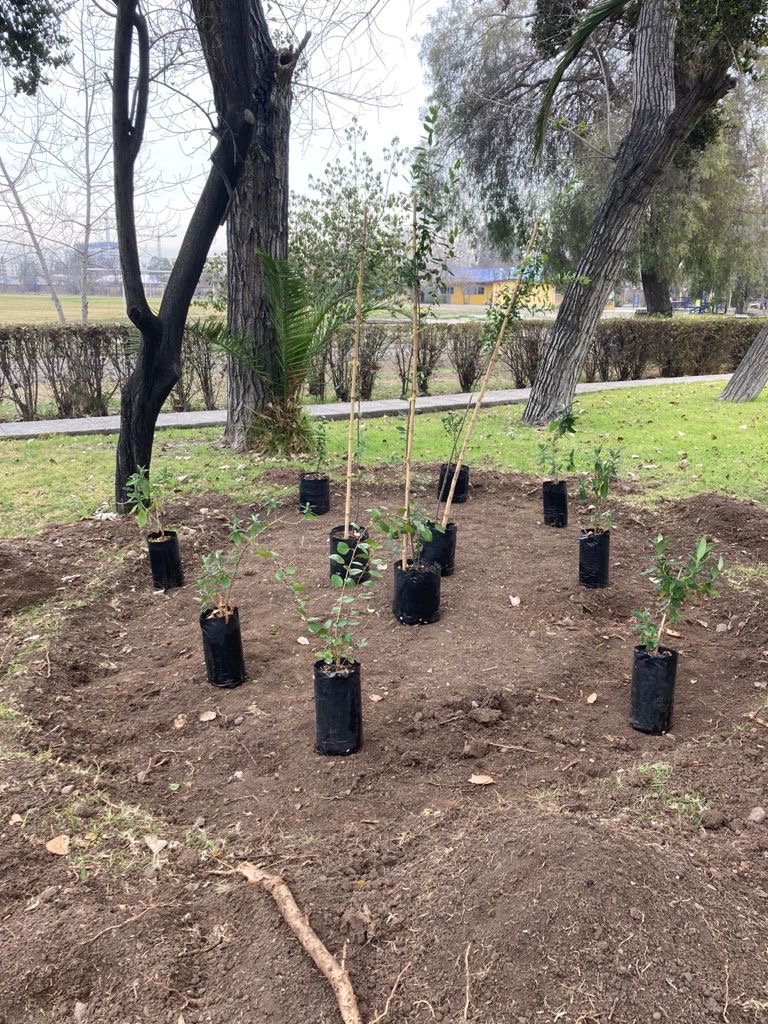 UMCE &mdash; XETC6236 705