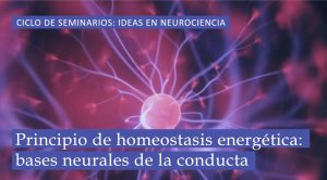 Noticias c1927e17417fa7b0e9d9f0a61a050a1c bcc