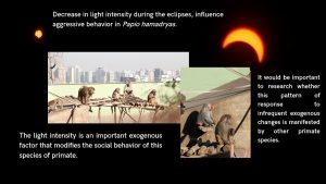 Noticias 5ea8097f9796a0bc1d24d672525a1a0b 9ae