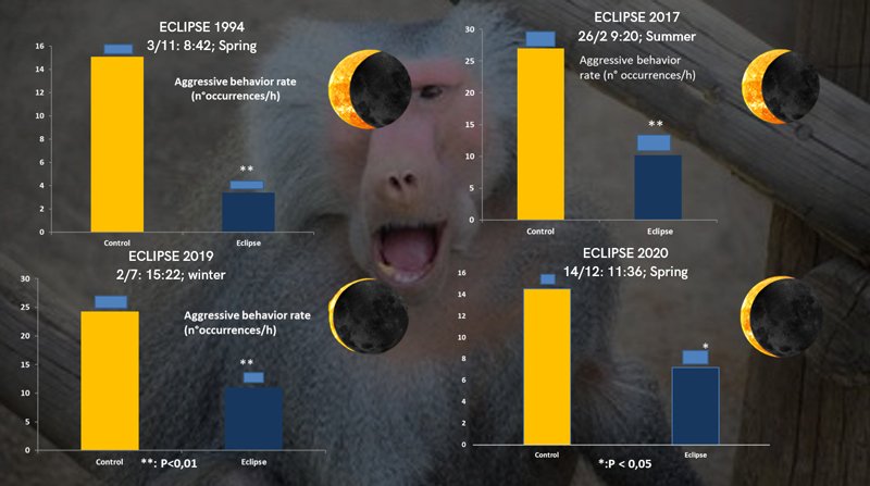 UMCE &mdash; papion eclipse1 31b