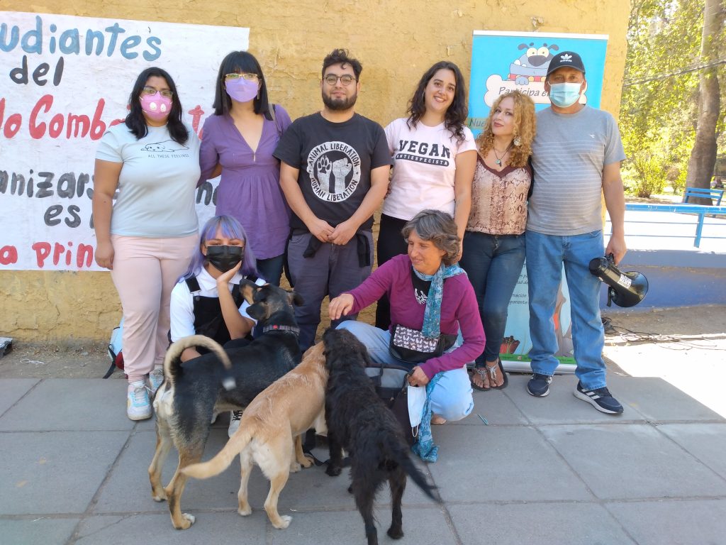 75c9e484a584dcf8cadef40577ad1f28 84f