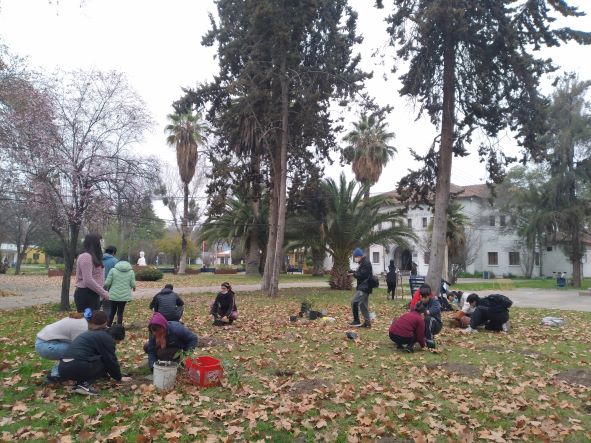 Estudiantes de la UMCE promueven conservación de flora nativa 39cbec347225b2c21c5ceb40381af16c adf