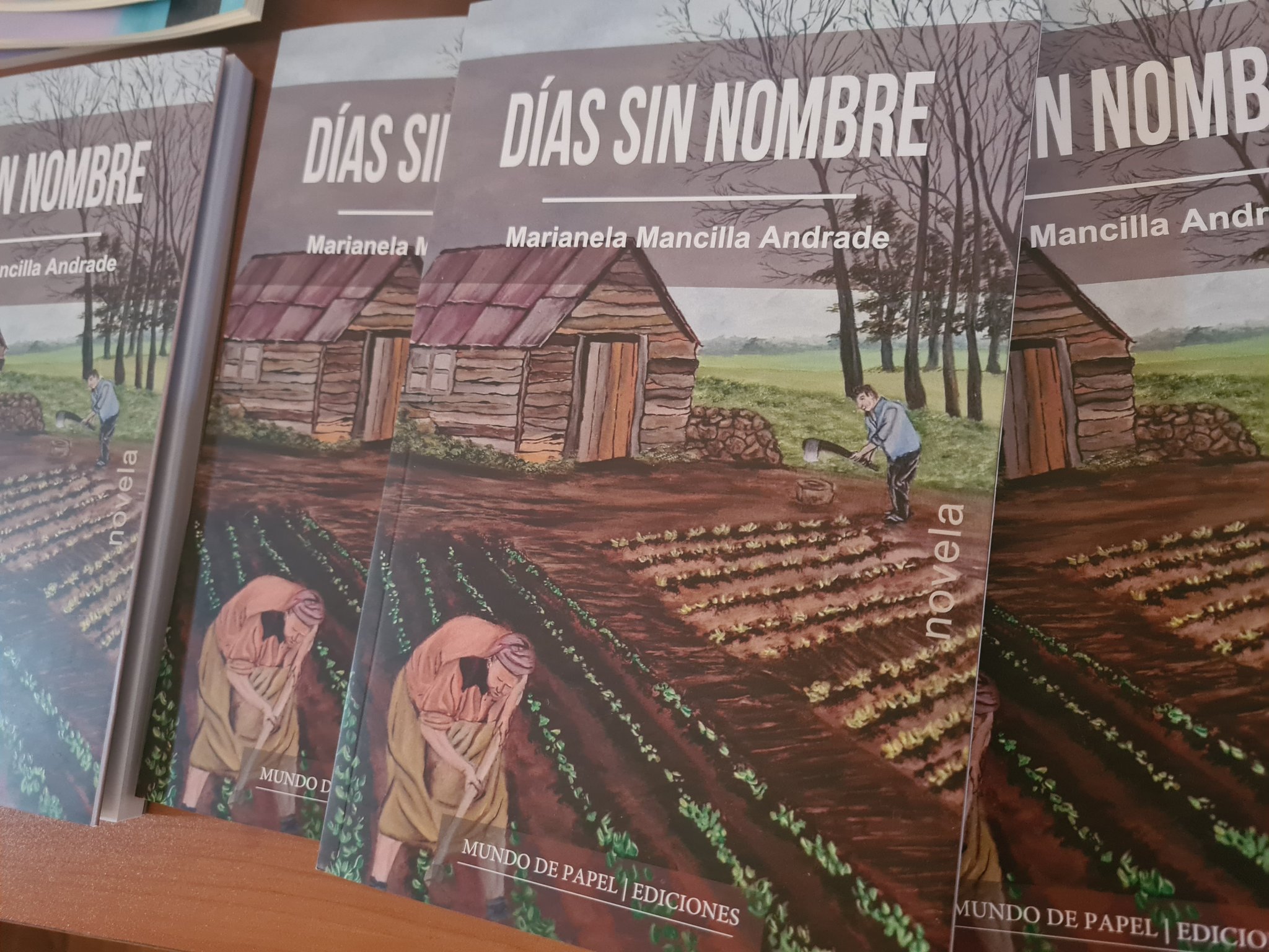 UMCE &mdash; dias sin nombre3 e7d