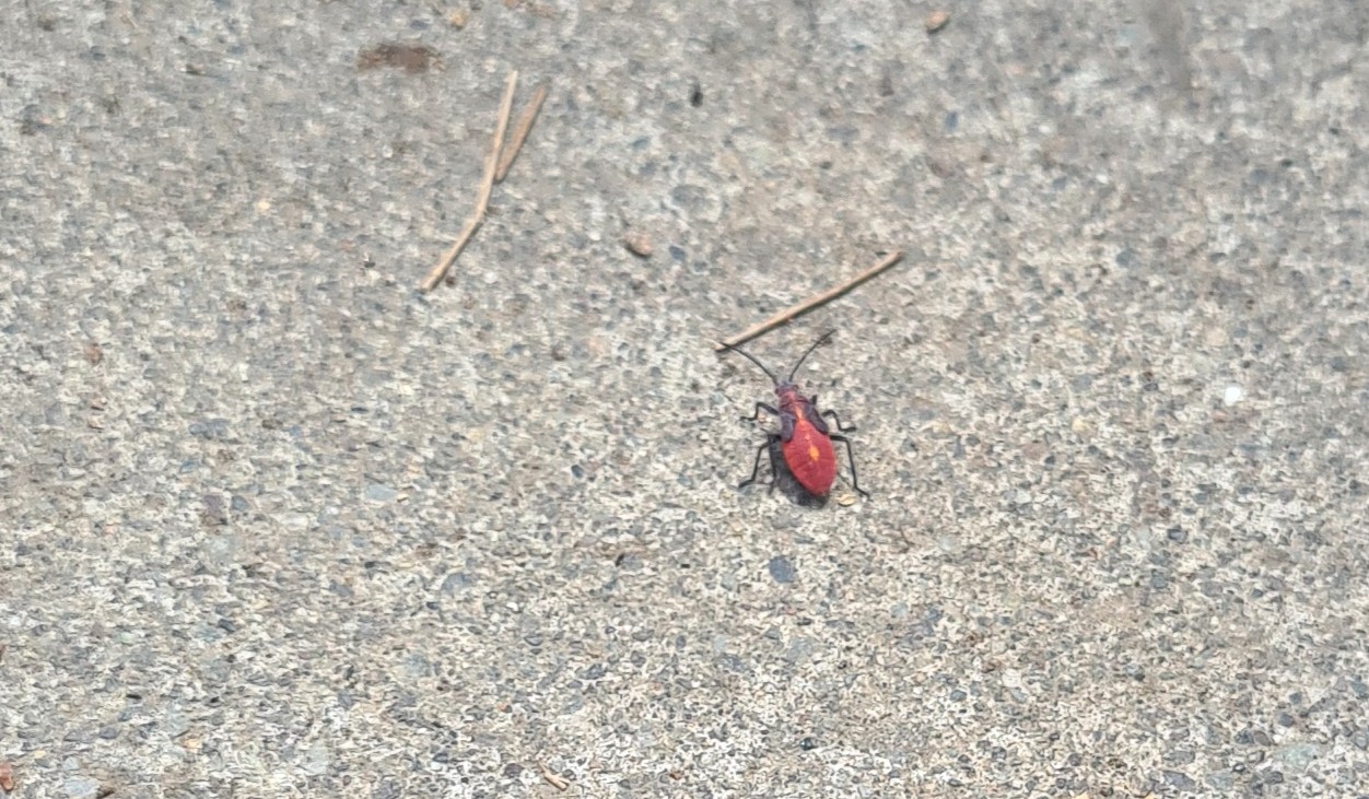 bb34ab2f72edf0306f5d69ce8d76b3d0 a60