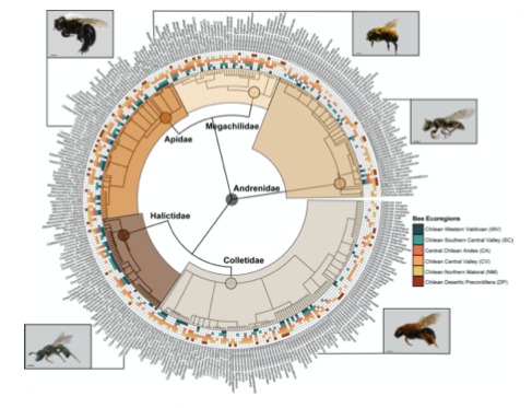 f59841cb9017648e0237919efc47e0ee 121