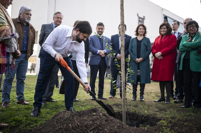 UMCE &mdash; 50 usach a74