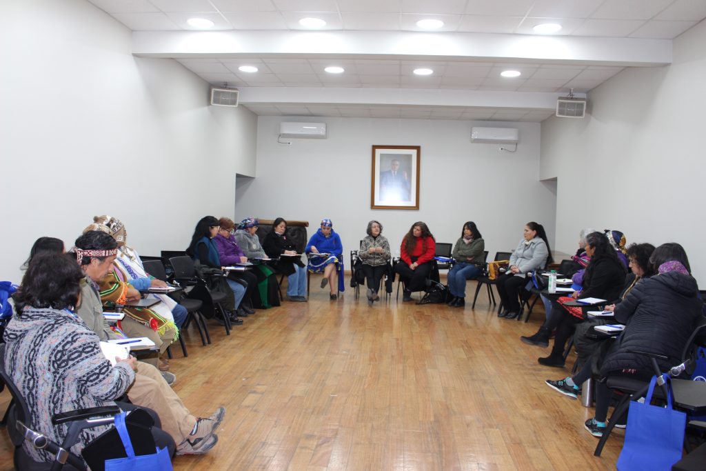 UMCE imparte taller de acompañamiento a Educadoras/es de Lengua y Cultura Indígena 4f10753d7a9d872e989352e614b3249c 574