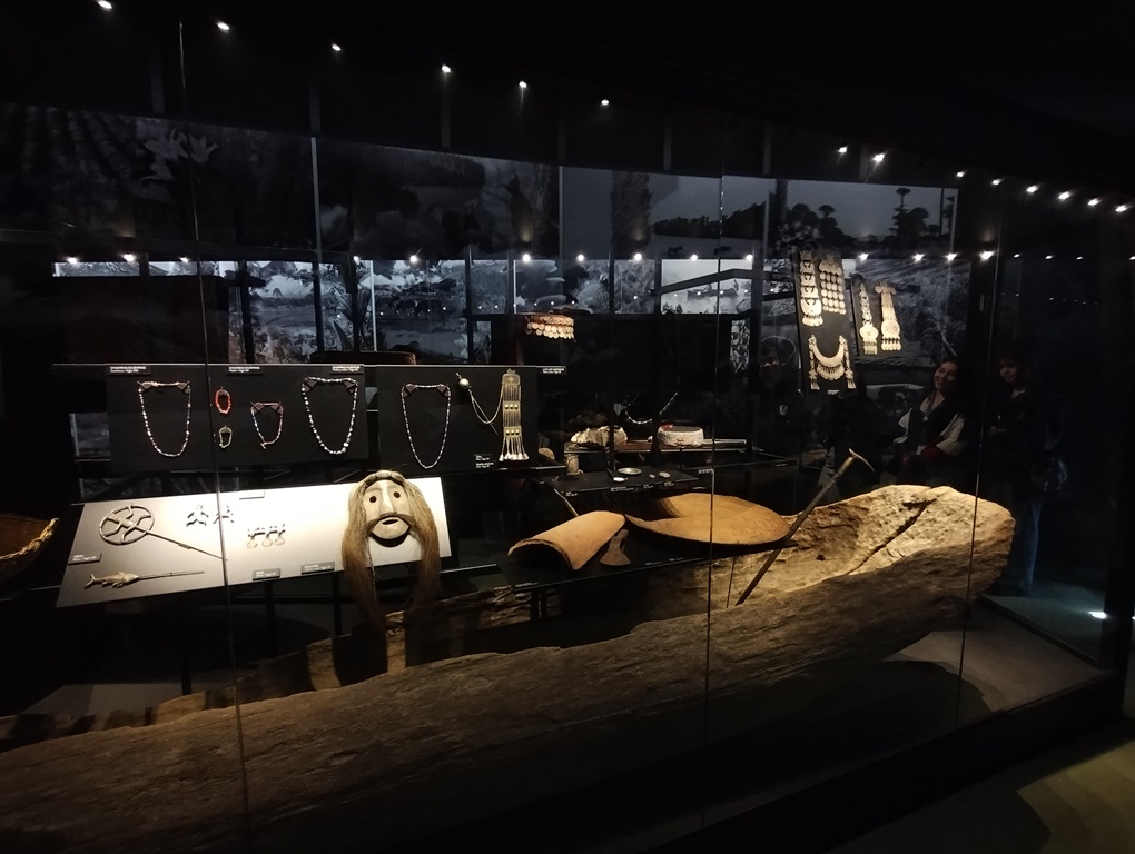 IMG 20241019 112645184