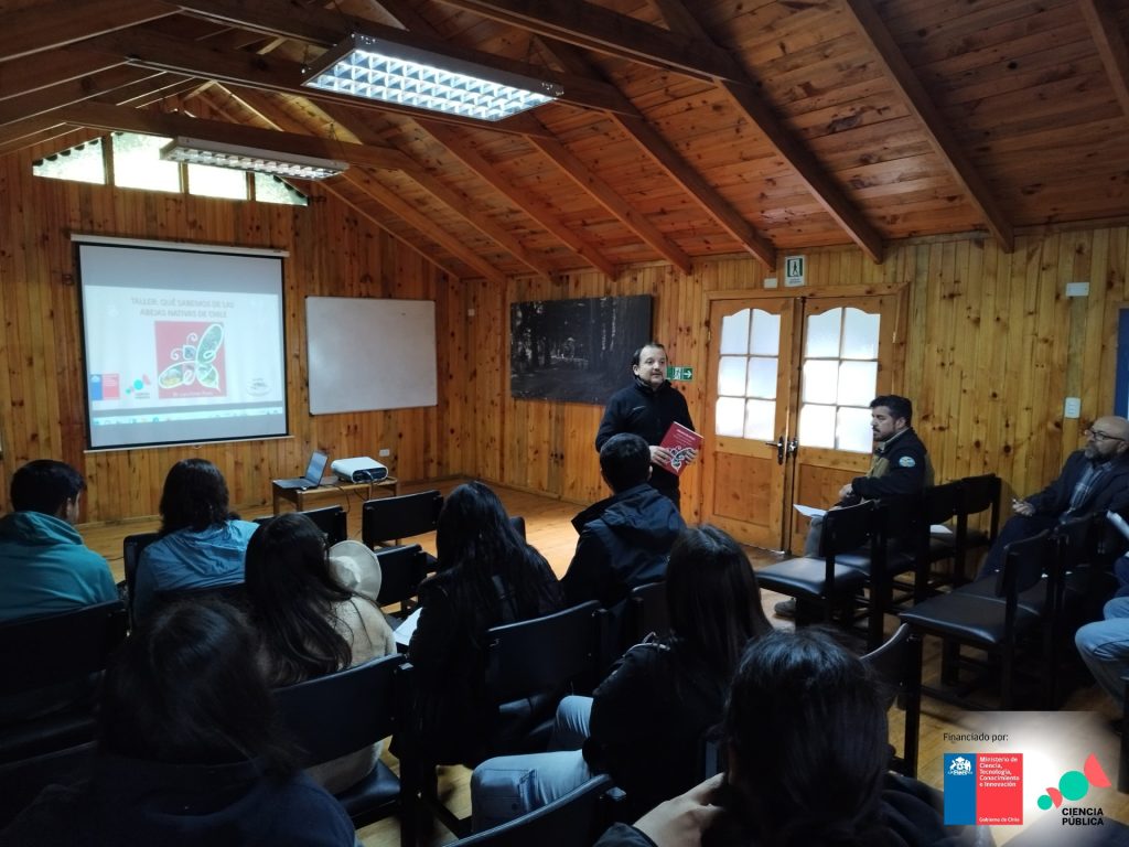 Investigador UMCE realiza taller de transferencia de conocimiento científico sobre abejas nativas en la Reserva Nacional Federico Albert 2b1c08f69d9491eaef2f40c64788c3eb f6a