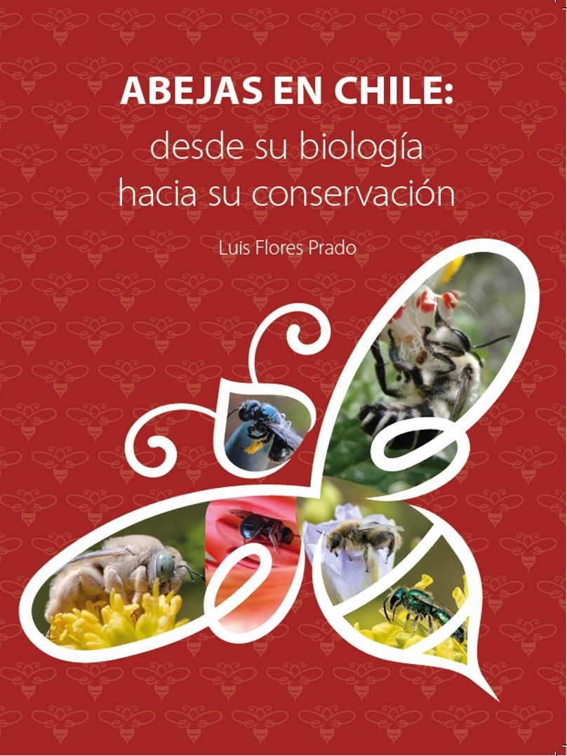 Investigador UMCE realiza taller de transferencia de conocimiento científico sobre abejas nativas en la Reserva Nacional Federico Albert UMCE — Foto tapa libro c33
