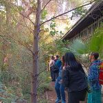 UMCE organiza jornada de avistamiento de aves dirigida a egresados y egresadas 7ddaa146-7be4-4f35-9225-31807c3a801a