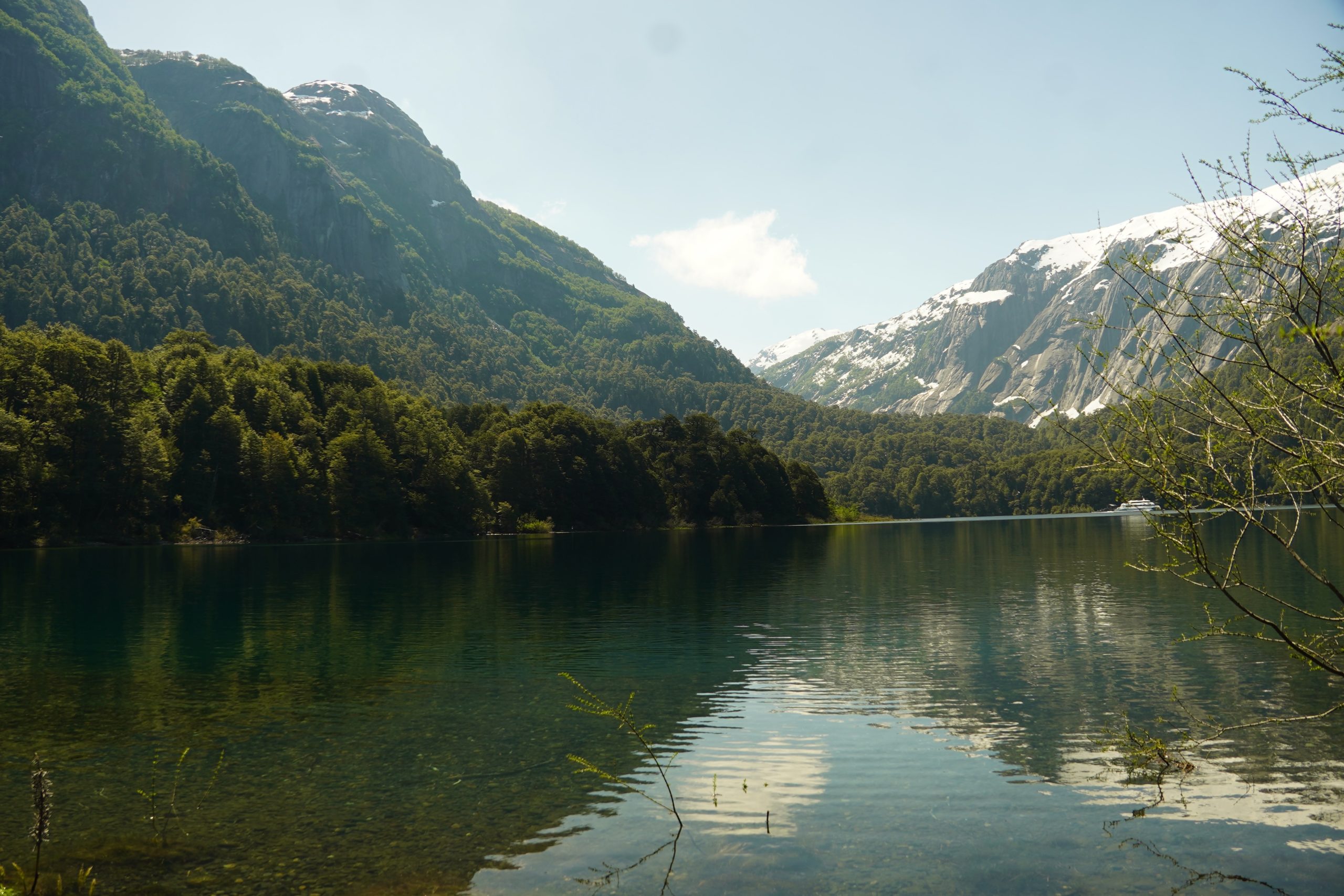 Investigador UMCE es el único chileno en innovador estudio sobre abejorro en extinción publicado en destacada revista "Nature Scientific Data" El trabajo de campo se realizó en Puerto Blest, Argentina (en la foto) y Puyehue, Chile