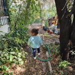 UMCE organiza jornada de avistamiento de aves dirigida a egresados y egresadas b4c7dfdb-c702-4f5c-862e-75e6884a0278