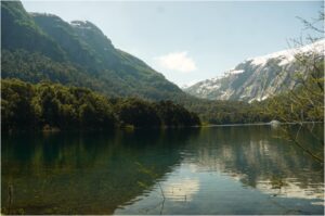 UMCE &mdash; Imagen 26 1