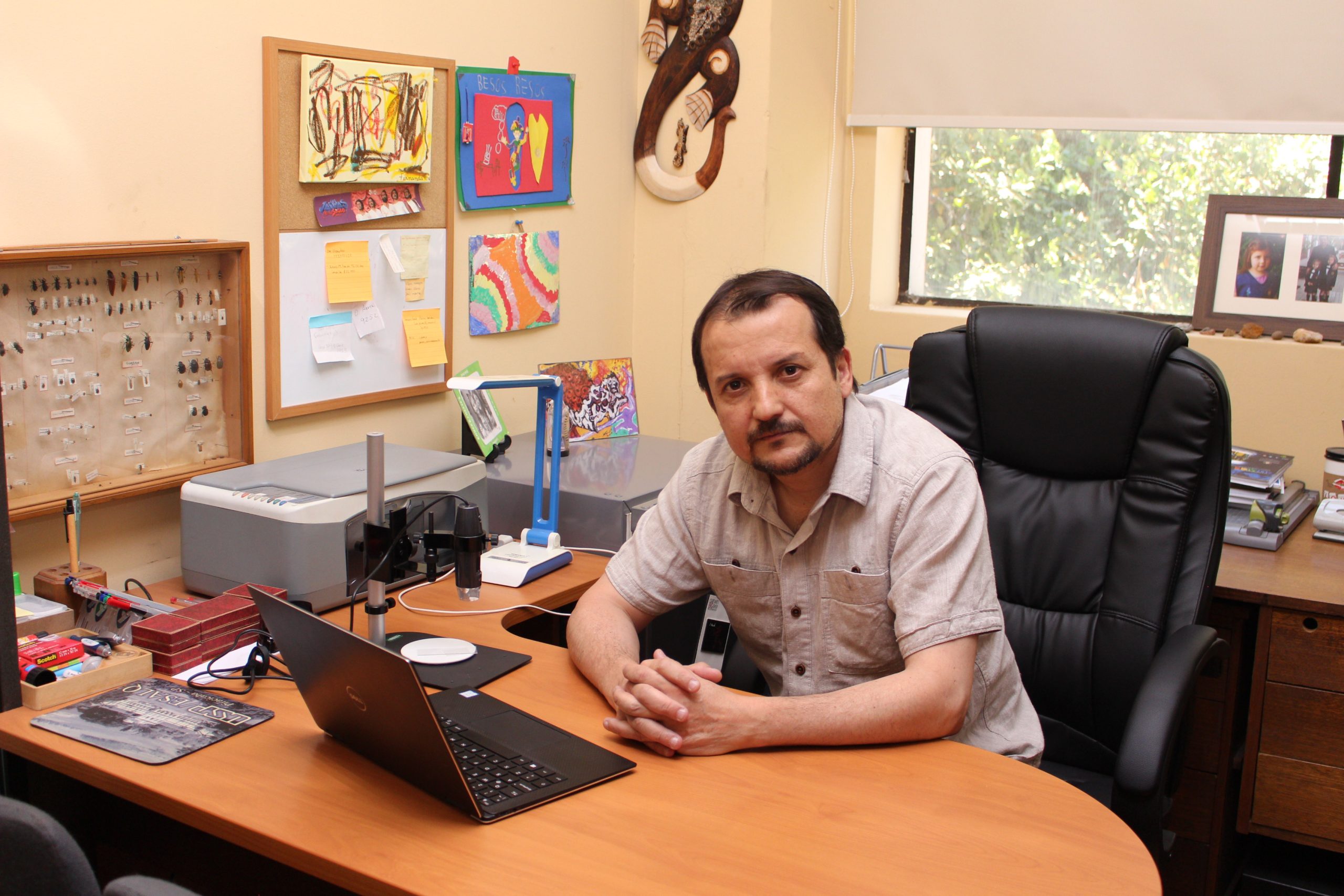 luis flores 2019 scaled