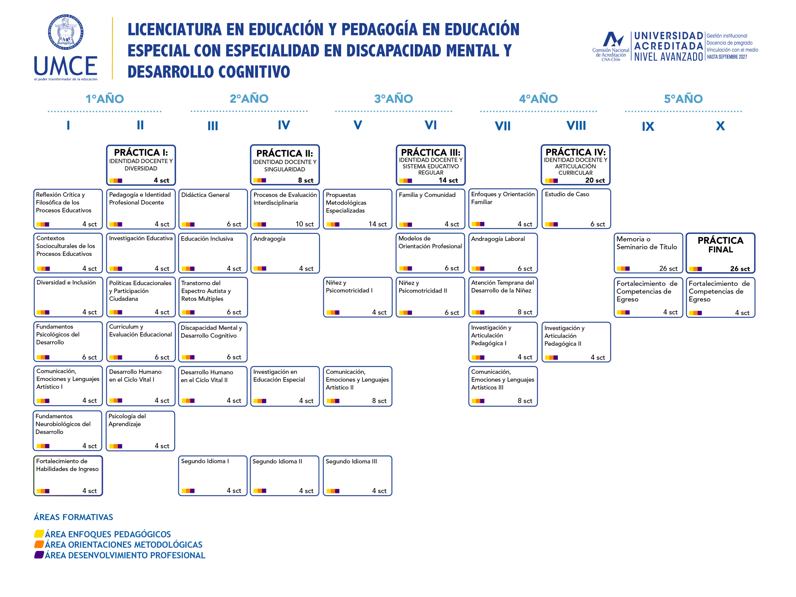 malla ped. ed. diferencial discapacidad mental y desarrollo cognitivo scaled