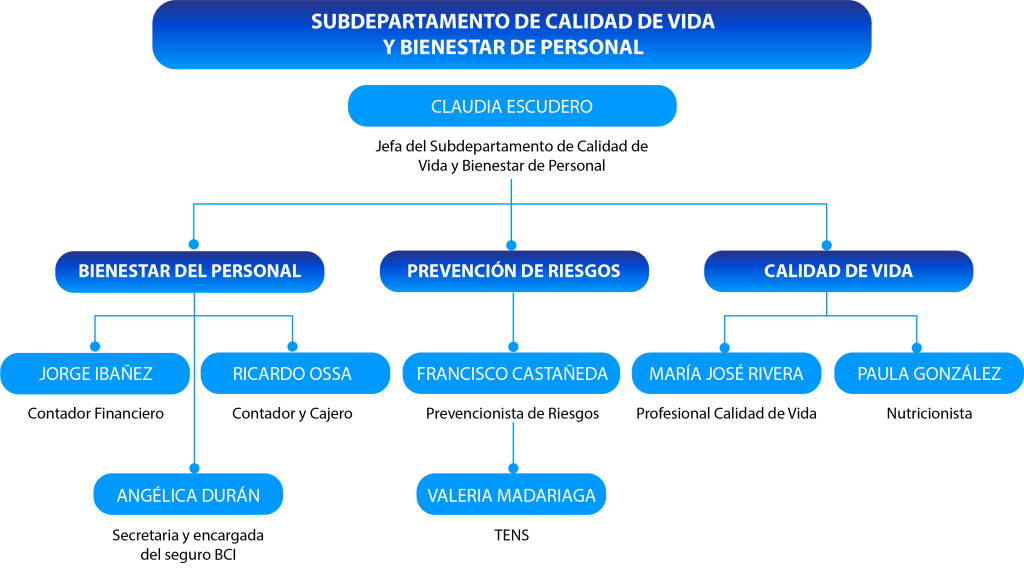 organigramacv scaled