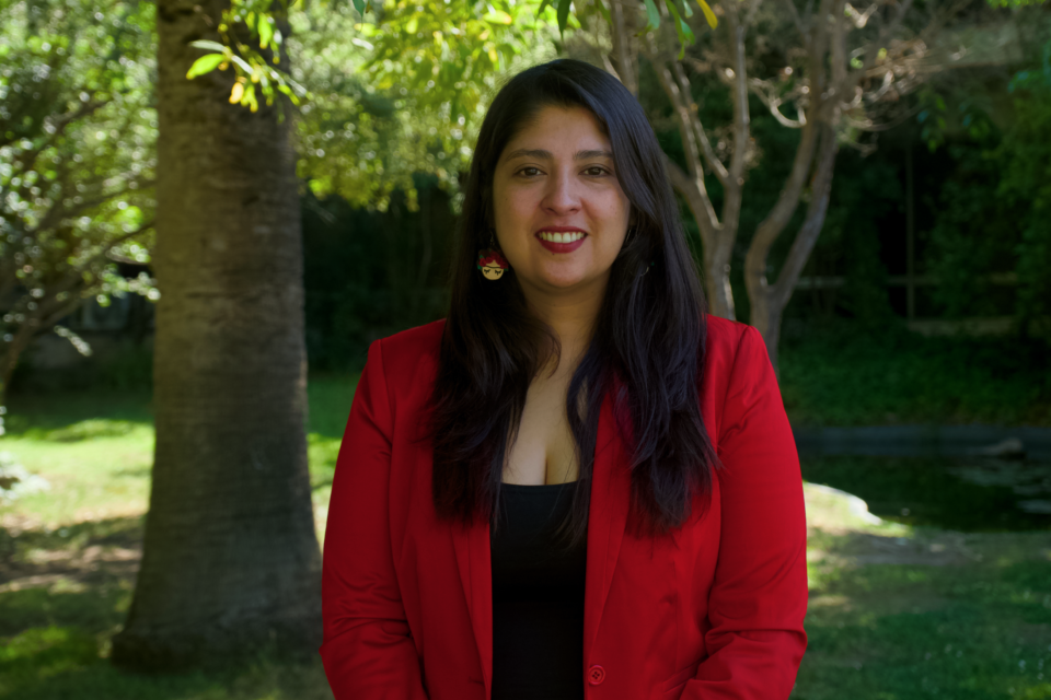 Pamela Palomera Dire Fisica