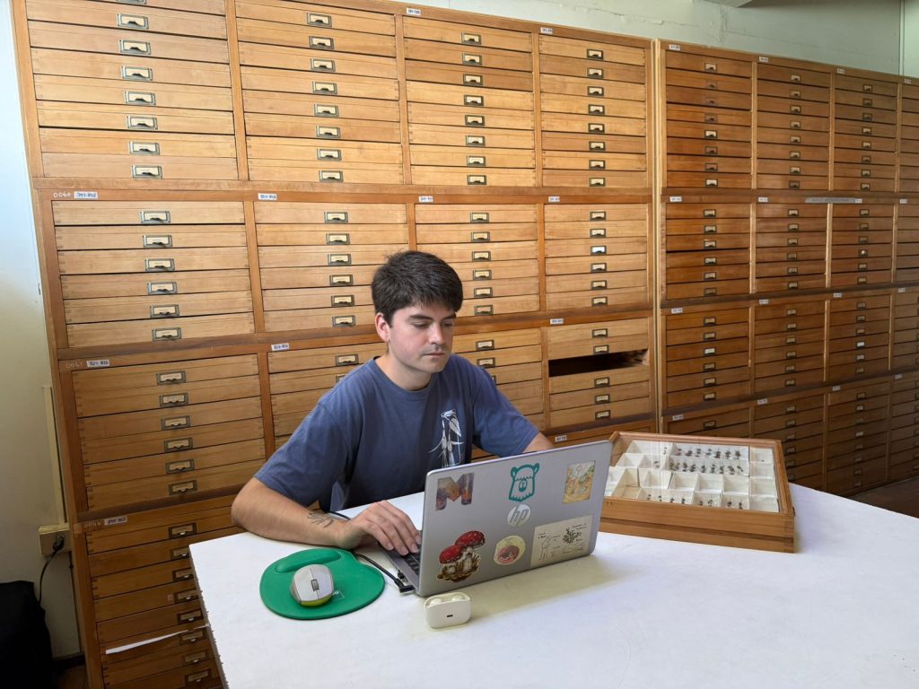 digitalizacion