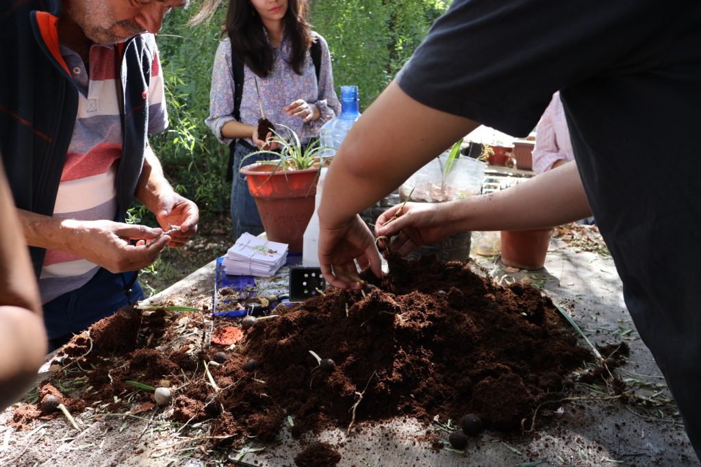 El Jardín Botánico UMCE inició su programación de abril con un taller de siembra que promovió la educación ambiental, la conservación de especies nativas y el trabajo con la comunidad