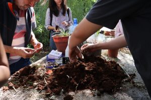 El Jardín Botánico UMCE inició su programación de abril con un taller de siembra que promovió la educación ambiental, la conservación de especies nativas y el trabajo con la comunidad