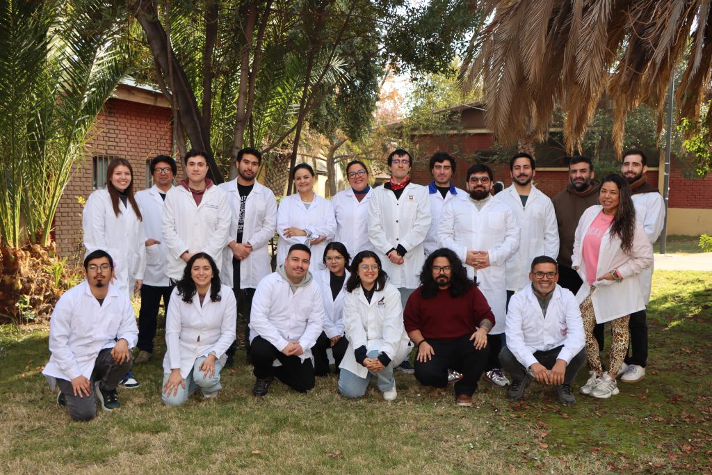 Programa de Prosecución de Estudios en Pedagogía en Física o Química UMCE amplía oportunidades para formar docentes de ciencias IMG 0450