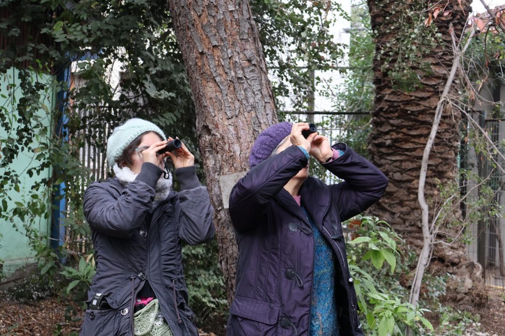 Taller de avifauna invita a descubrir las aves del bosque esclerófilo en la UMCE