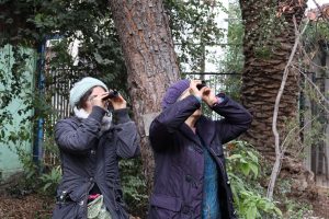 Taller de avifauna invita a descubrir las aves del bosque esclerófilo en la UMCE