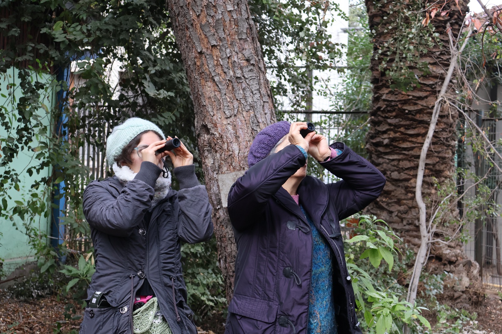 Taller de avifauna invita a descubrir las aves del bosque esclerófilo en la UMCE