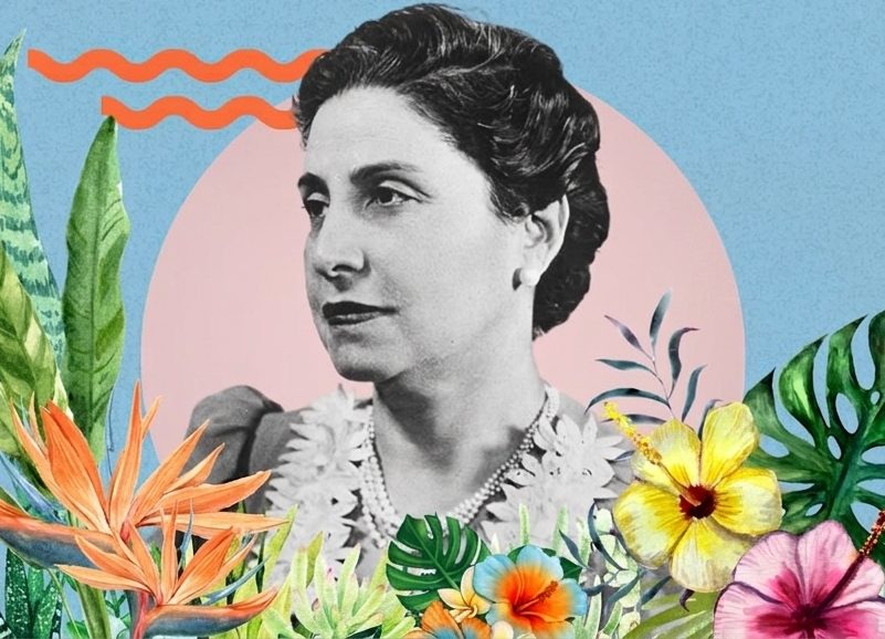 Concurso INES Género