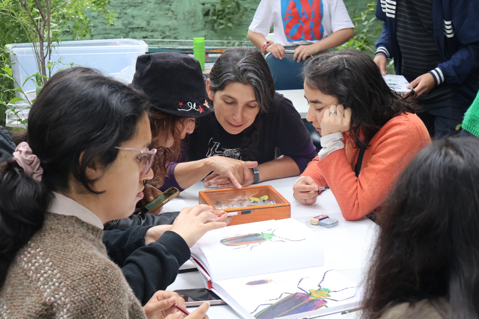 arte y la ciencia se encontraron en el Jardín Botánico Pedagógico de la Universidad Metropolitana de Ciencias de la Educación (UMCE), a través del taller “Ilustración de insectos en acuarela”, desarrollado los días 25 de septiembre y 2 de octubre.
